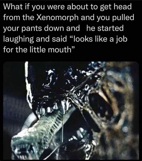 xenomorph rule 34